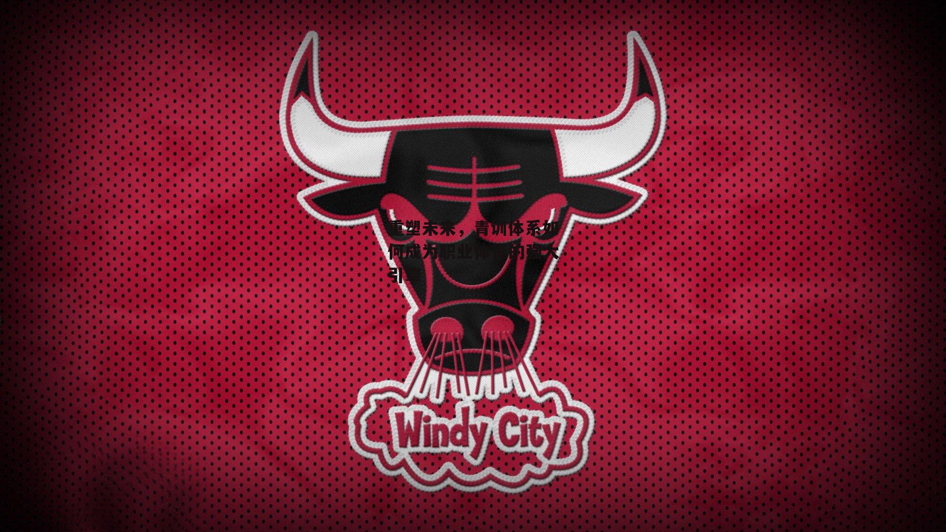 重塑未来，青训体系如何成为职业体育的强大引擎